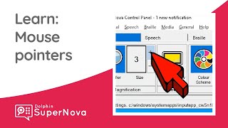 Learn SuperNova: Mouse Pointers
