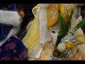 Carnevale Venezia 2008