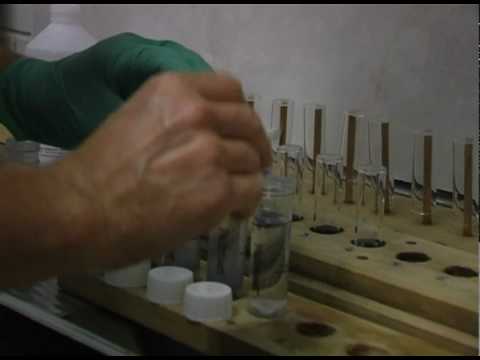 how to test water quality