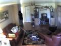 Stupid Burglar 5
