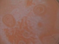 More chemical experiments: the Belousov-Zhabotinsky reaction More chemical experiments: the Belousov-Zhabotinsky reaction