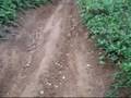 Amateur KLX450R uphill wipeout