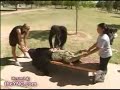 How did he do that? How did he do that?