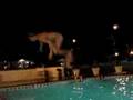 UWO Cali Pool Stunts