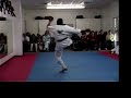 Capoeira Demo