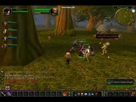 Warriors of Alliance Hogger   wow