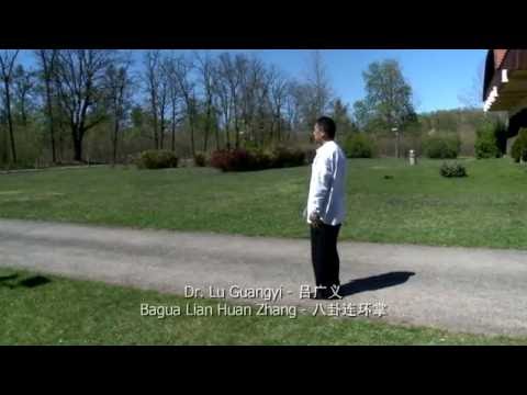 Dr. Lu Guangyi – Ba Gua Lian Huan Zhang