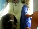 trying to get coco out of the shower (part 1)