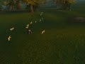 Druids Gone Wild!