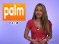 videos de Quality Stocks Daily Video 11/21/2008