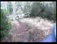 bercho bike  2006