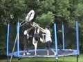 Trampoline + Basketball = Very Funny Pain
