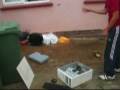 videos de LAPTOPS MASH