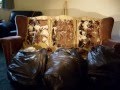 videos de Attack of the killer bin bags