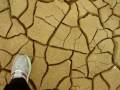 Crackling, dried lakebed mud - Saudi Arabia
