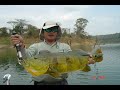 Pesca de Pavon, Embalse La Coromoto, Venezuela Mayo 2008