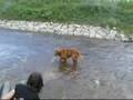Oli&Čarli in water