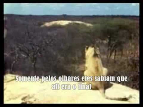 Imagem de Amostra do You Tube