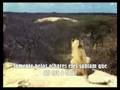 Christian The Lion - Amigos para Sempre