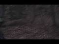 SCA-Rough-Cut-Promo