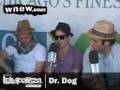 Dr. Dog backstage interview at Lollapalooza 2008