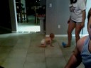 Bryson Crawling
