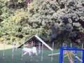 videos de Agility Practice- Sept 6