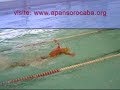 Apan nos jogos da juventude sp 2009 - rev 4x100m medley masculino