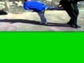 Knife Defence.flv View Video