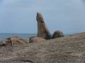 Koh Samui Thailand granfather rock Miles Dean CD (using Canon Legria HFS100)