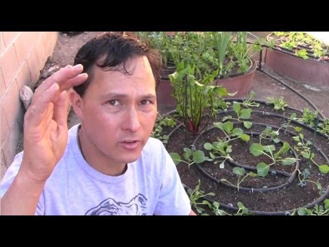 how to treat old wood