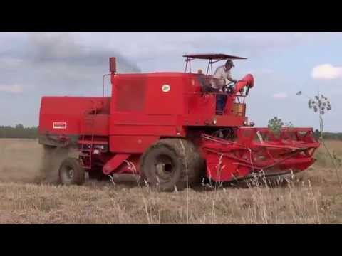 Bizon - Manewry Bizona na polach podczas bardzo mokrych Żniw 2014 w woj.świętokrzyskim.