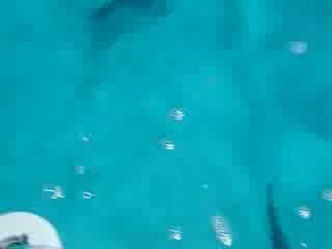 Смотреть видео