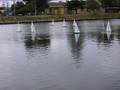 SAILING BOATS (remote control