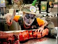 Vegetarianismo, Pense sobre isso! Vegetarianismo, Pense sobre isso!