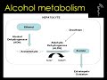 Alcoholic liver disease Part 1 of 2