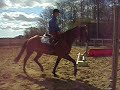 Largo spring rytter