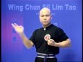 Wing Chun Sil Lim Tao From Part 2