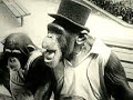 video ideato da jacopo ghioldi