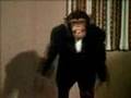 CAPAREZZA - Bonobo Power