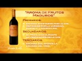 Aprende a catar el vino como todo un experto. 2ª Parte. Elena Adell. Campo Viejo