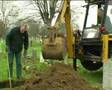 Grave diggers