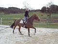 orfee au boulot orfee au boulot