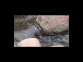 More Arizona Streams