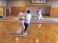 大通備翻子拳招法 Da Tongbei Fanzi Quan