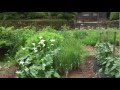 NIPPON(S) WALK ON ISHIKAWA NOTO - YouTube