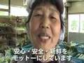 家庭菜園動画17