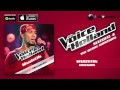 The voice of Holland - Wudstik - Omarm The voice of Holland - Wudstik - Omarm