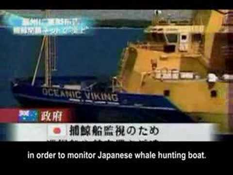 how to collect ecological data