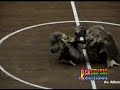 DANZA DE LOS VENADOS